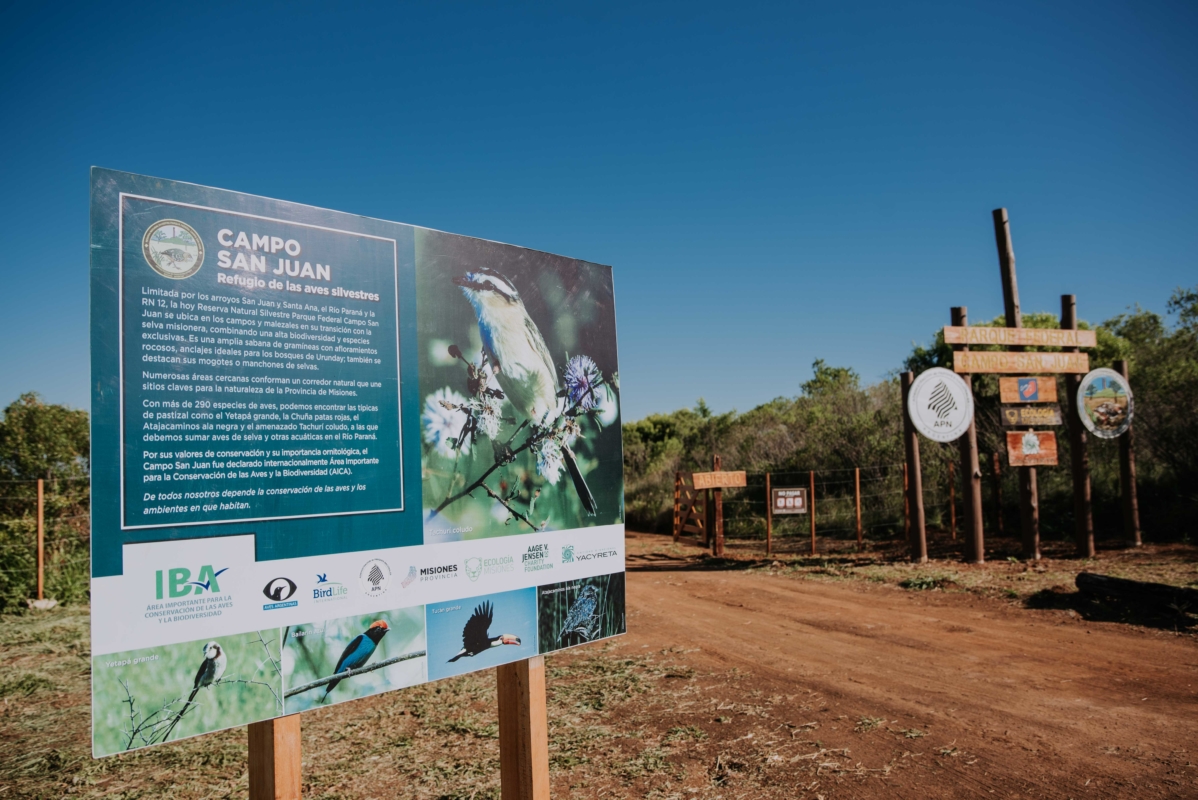 Campo San Juan con 300 especies de aves protegidas, preservando la biodiversidad imagen-2
