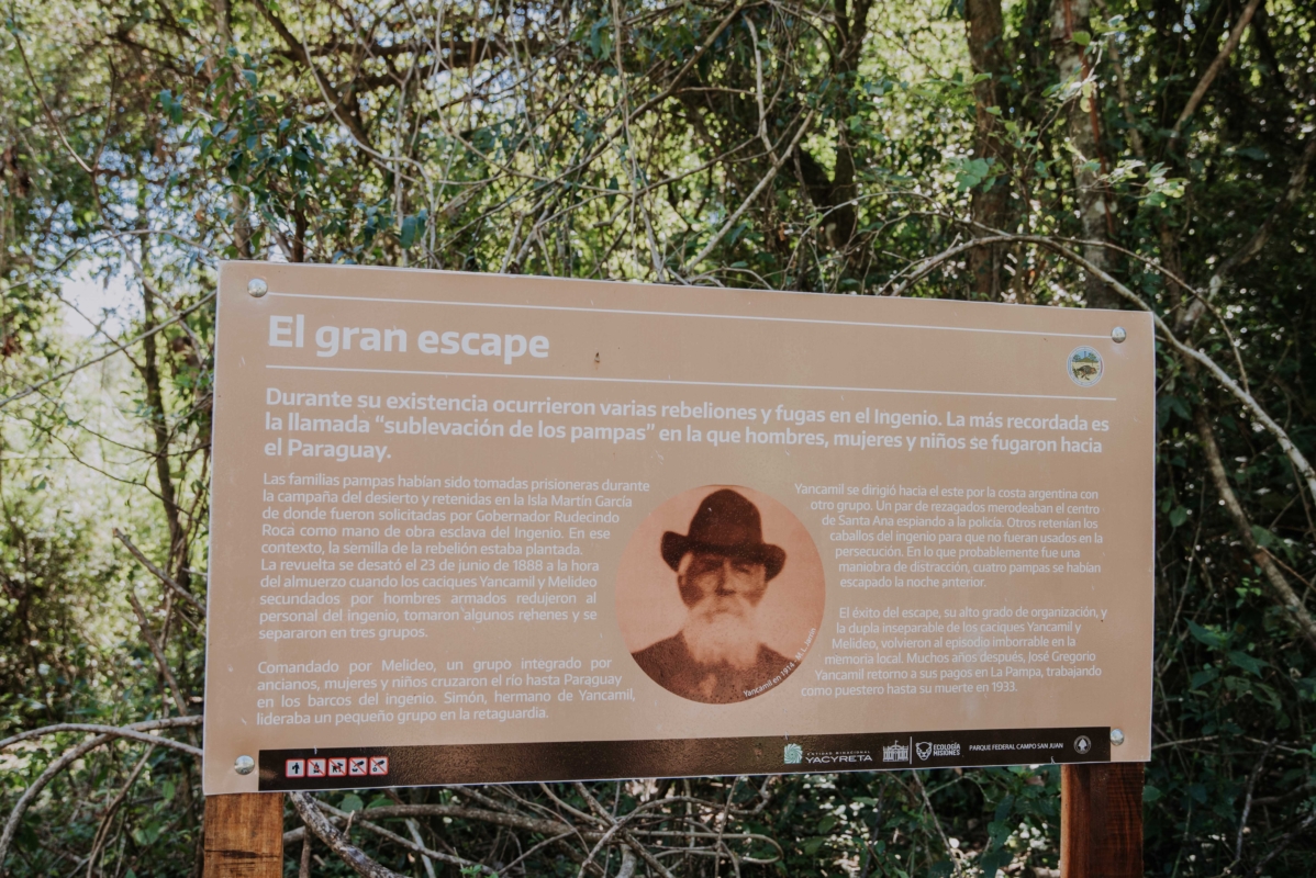 Misiones ejemplo ambiental, en la apertura al público del Parque Federal Campo San Juan imagen-25