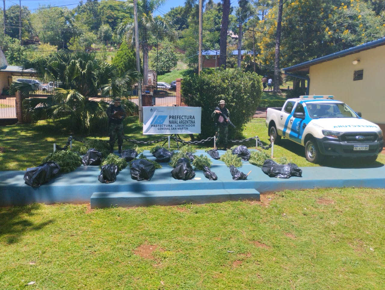 Prefectura secuestró más de 40 kilos de plantas de marihuana en Garuhapé imagen-8
