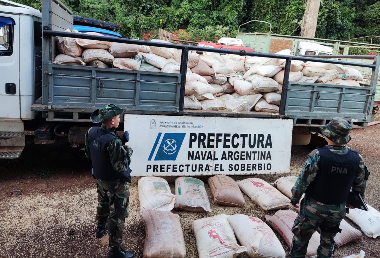 Secuestran más de 9 toneladas de soja que iban a ser exportadas ilegalmente al Brasil imagen-2