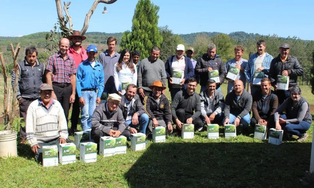 Cuando el Libre Mercado se queda sin respuestas: Misiones como actor clave para amortiguar los costos de producción imagen-2