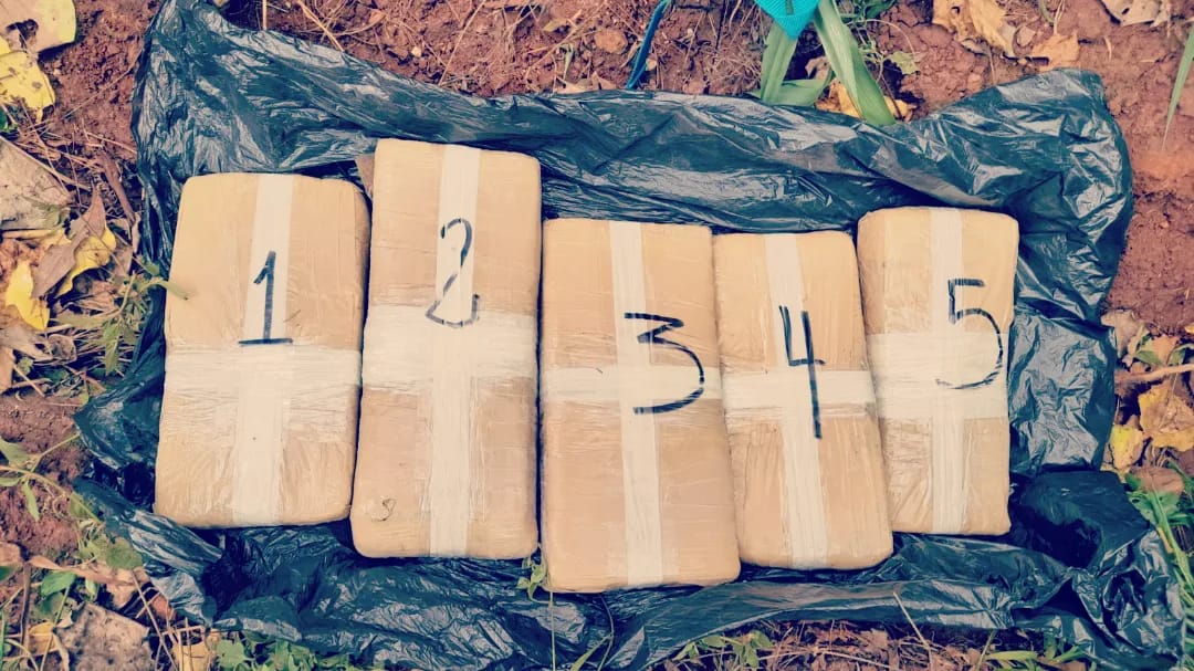 Capioví: incautaron una mochila cargada con panes de marihuana imagen-2
