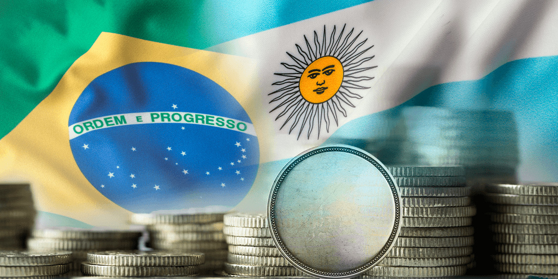 La Parlamentaria Britto solicita que la posible moneda argentina-brasilera sea declarada de interés regional imagen-4