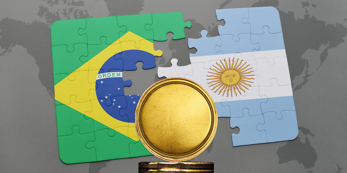 La Parlamentaria Britto solicita que la posible moneda argentina-brasilera sea declarada de interés regional imagen-2