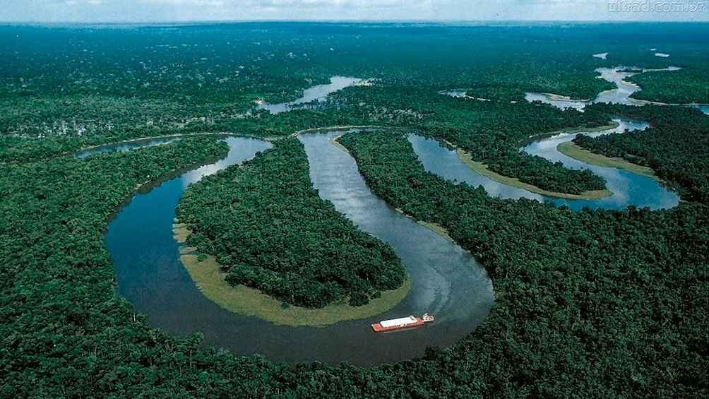 Nuevo récord en la deforestación de la Amazonia brasileña imagen-2