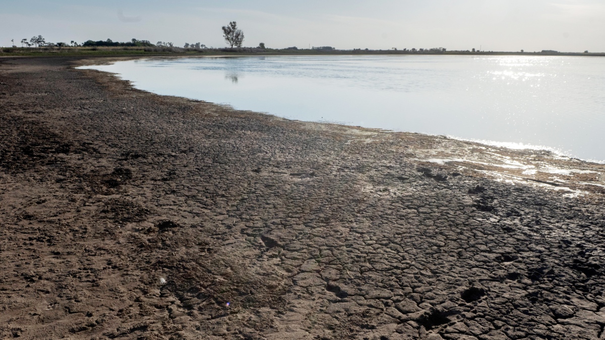Sequía: el Gobierno invertirá $70.000 millones para asistir a productores imagen-2
