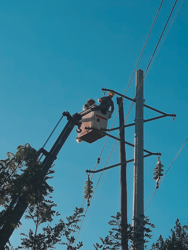 Energía de Misiones continúa obras de remodelación en la línea de 33 KV en San Javier – Alem imagen-6