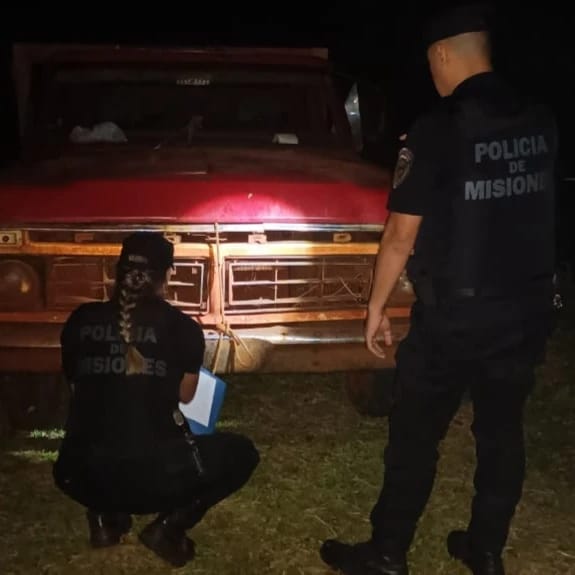 Abigeato: arrestaron a dos hombres cuando intentaban faenar un búfalo imagen-4