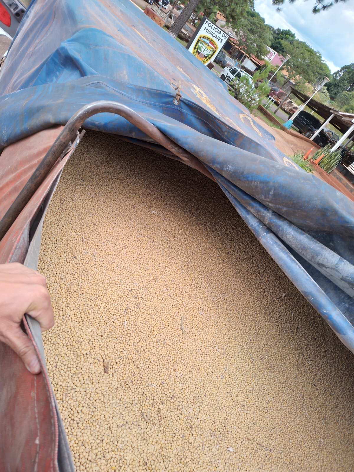 Secuestraron camiones con cargas ilegales de granos: 70 toneladas en las últimas semanas imagen-6