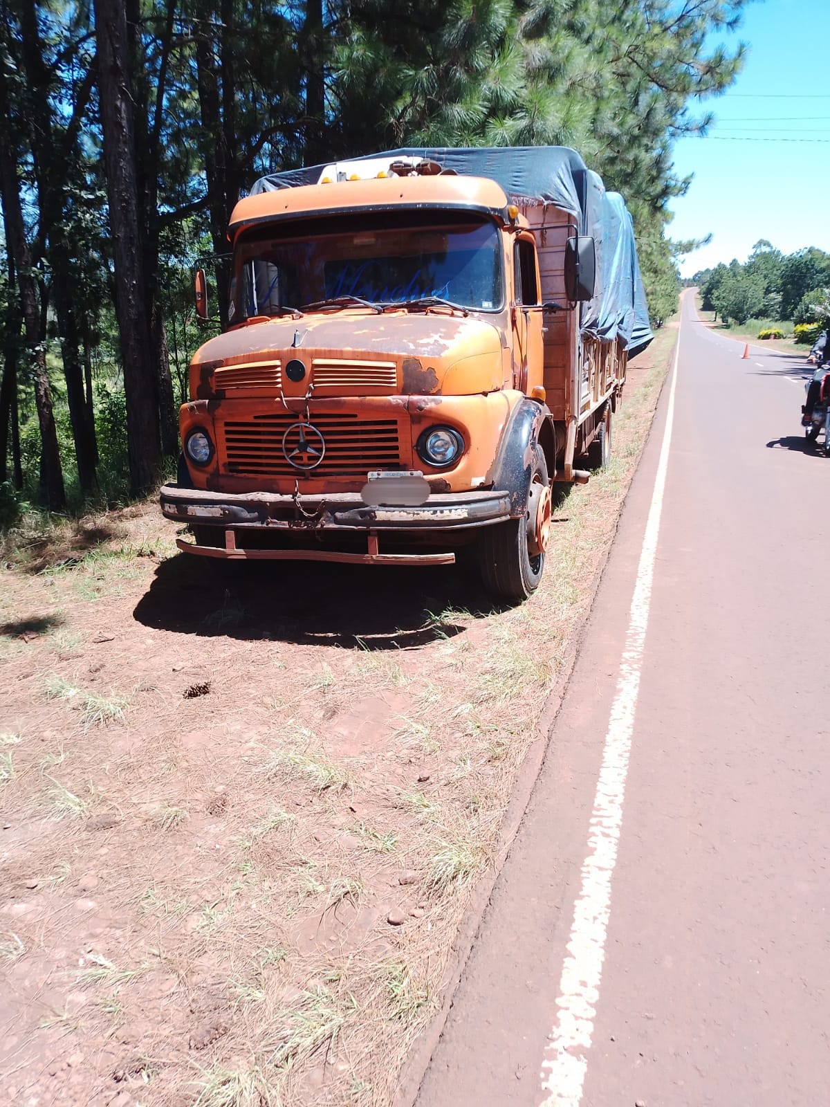 Secuestraron camiones con cargas ilegales de granos: 70 toneladas en las últimas semanas imagen-4