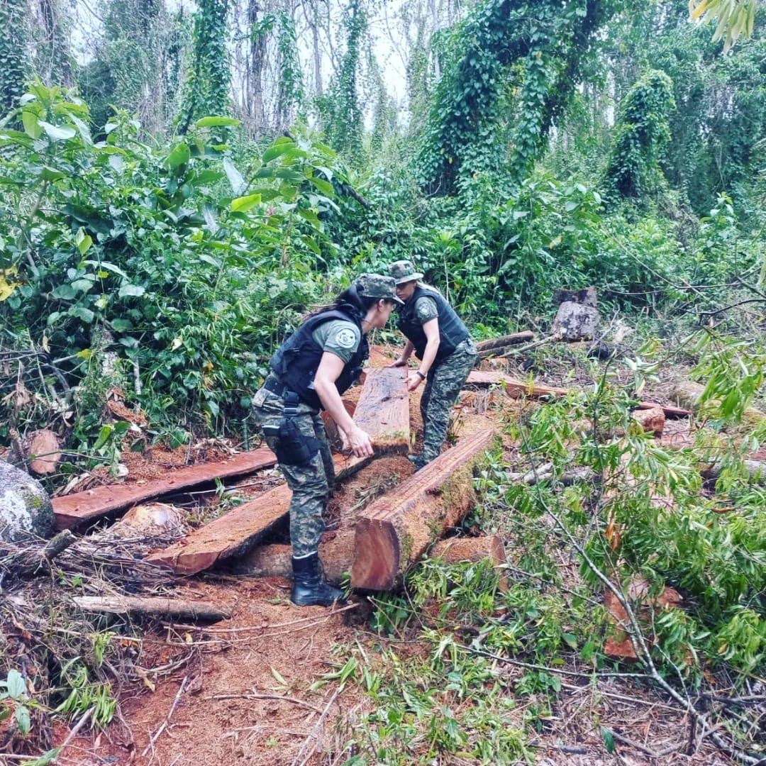 Destacan que operativos policiales en zonas rurales lograron reducir en un 80% los robos de yerba, un 65% el abigeato y el apeo ilegal cayó a la mitad imagen-24