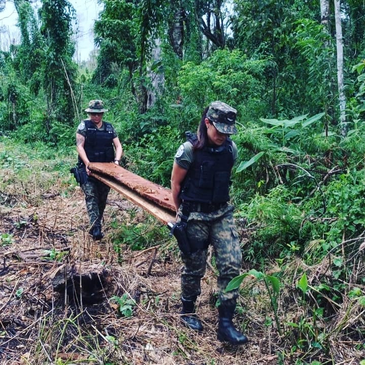 Destacan que operativos policiales en zonas rurales lograron reducir en un 80% los robos de yerba, un 65% el abigeato y el apeo ilegal cayó a la mitad imagen-20