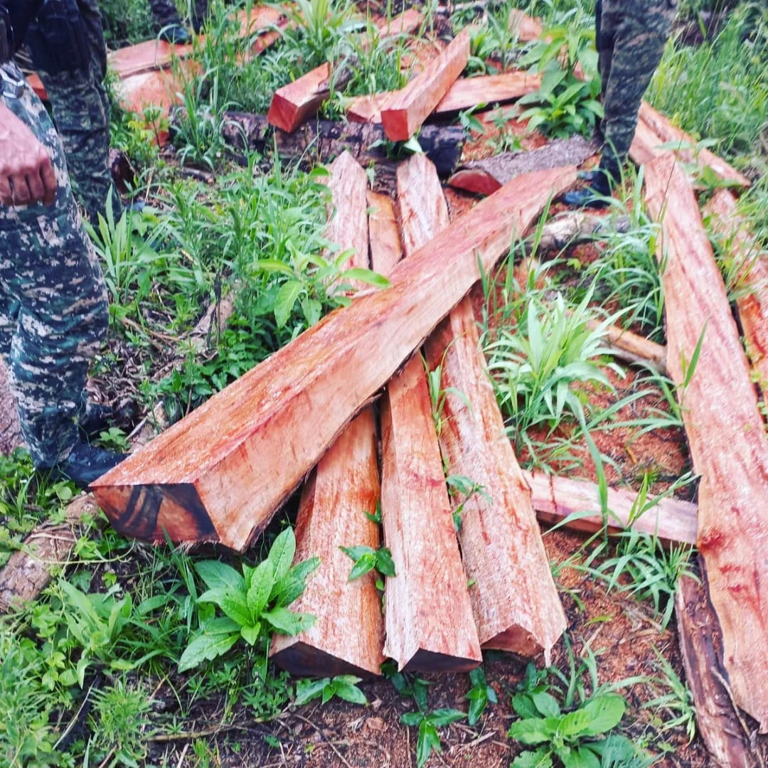 Destacan que operativos policiales en zonas rurales lograron reducir en un 80% los robos de yerba, un 65% el abigeato y el apeo ilegal cayó a la mitad imagen-18