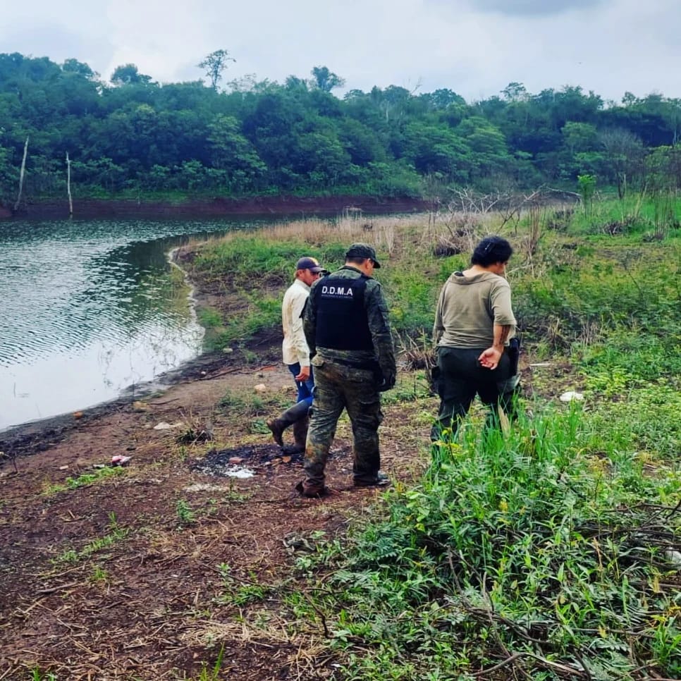 Destacan que operativos policiales en zonas rurales lograron reducir en un 80% los robos de yerba, un 65% el abigeato y el apeo ilegal cayó a la mitad imagen-16