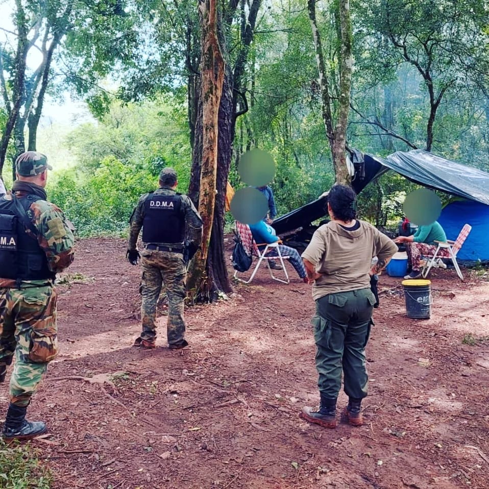 Destacan que operativos policiales en zonas rurales lograron reducir en un 80% los robos de yerba, un 65% el abigeato y el apeo ilegal cayó a la mitad imagen-14