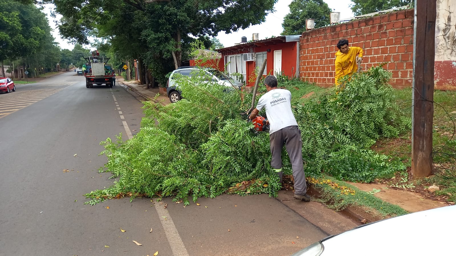 Cuadrillas municipales despejan árboles y ramas caídas durante el temporal imagen-6