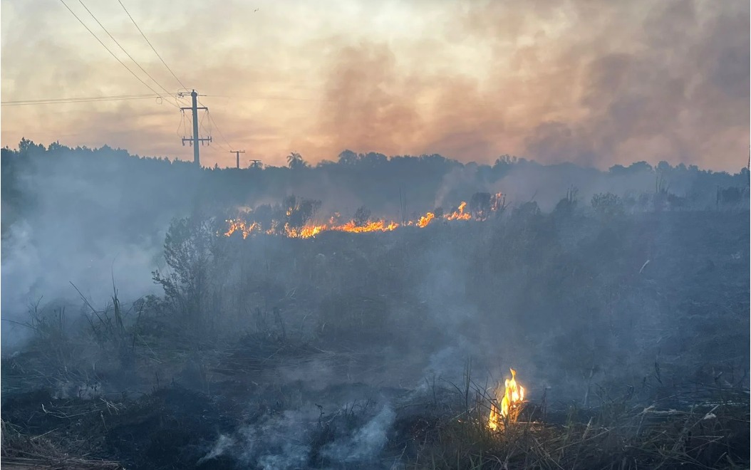 Incendios rurales: las zonas Centro y Sur, las más afectadas con focos ígneos "controlados" imagen-2