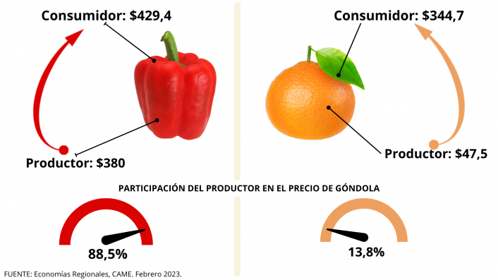 Por los agroalimentos, el consumidor pagó 3,1 veces más de lo que cobró el productor imagen-2