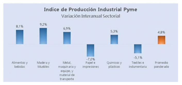 La industria pyme creció 4,8% anual a nivel país en febrero y en Misiones el rubro papelero, con ventas en baja, espera repuntar en este año electoral imagen-4