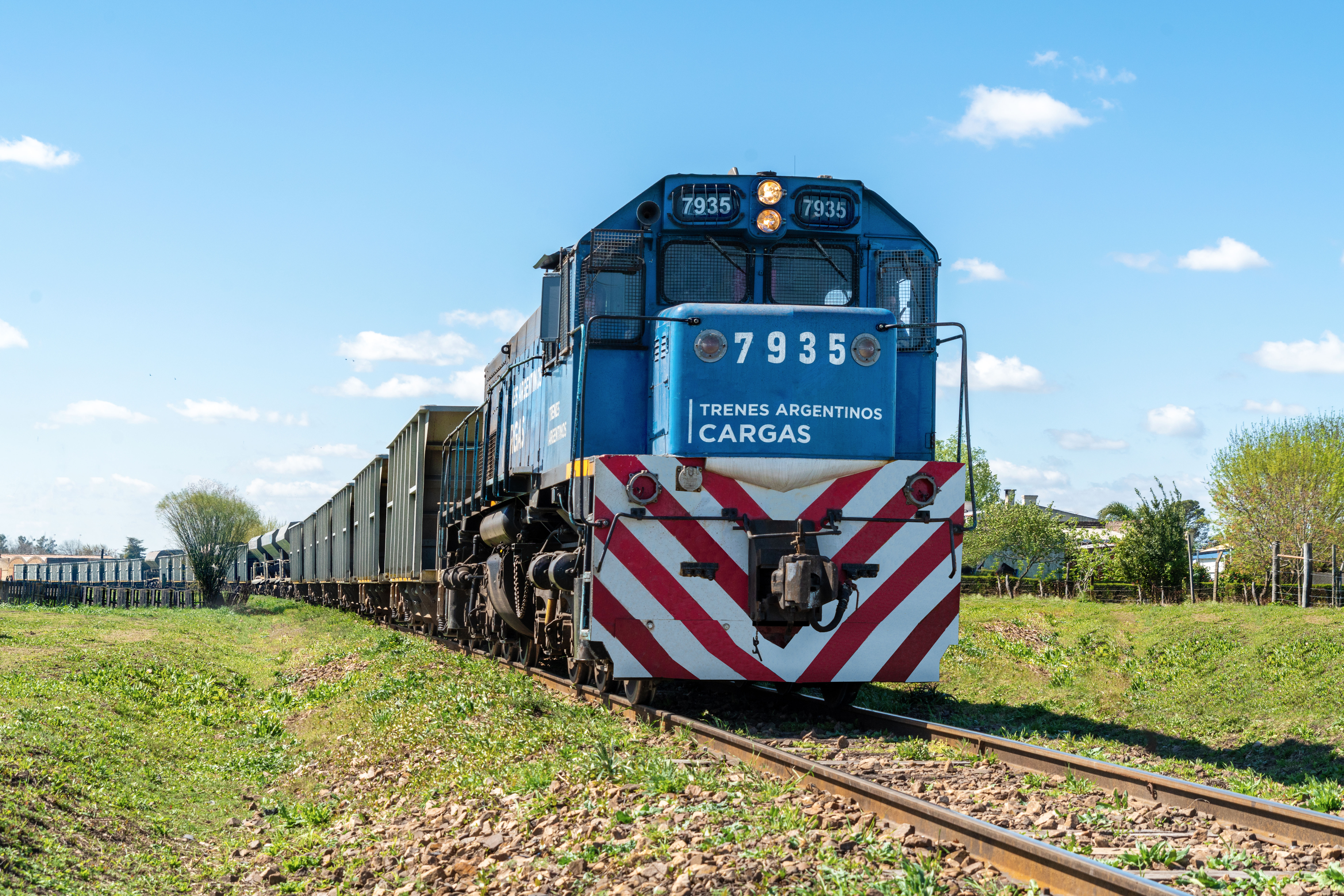Con más de 1 millón de toneladas transportadas, Trenes Argentinos Cargas alcanza su mejor desempeño imagen-2