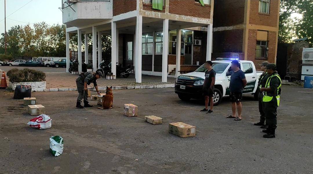 Gendarmería: incautaron dos encomiendas con 45 kilos de marihuana, hay cuatro detenidos  imagen-2