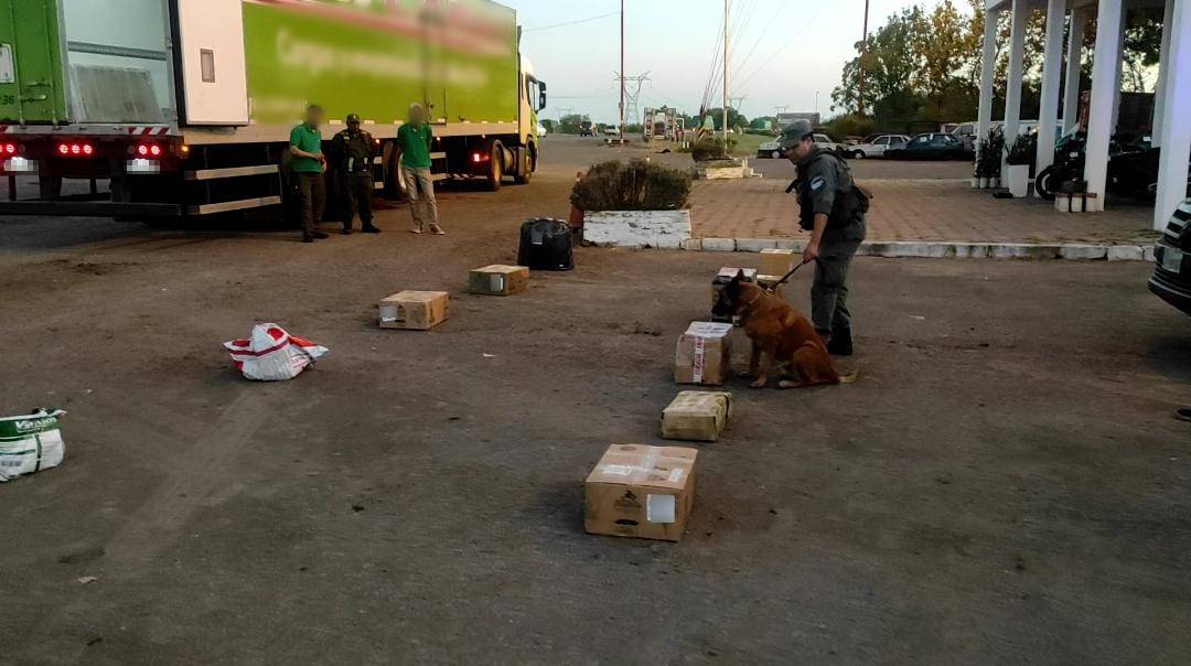 Gendarmería: incautaron dos encomiendas con 45 kilos de marihuana, hay cuatro detenidos  imagen-4