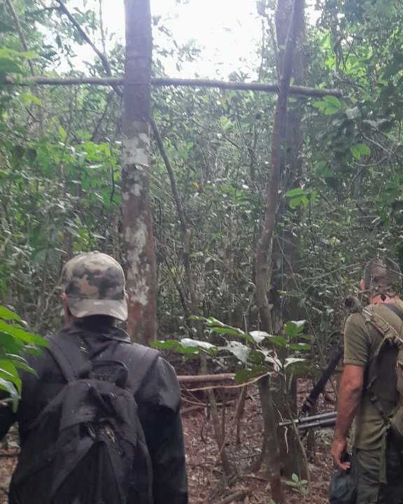 Guardaparques detectan y desmantelan campamento de cazadores furtivos en la selva imagen-2