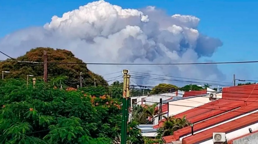 Rescatan un pequeño yacaré, teniendo “controlado” el incendio que arrasó más de 6 mil hectáreas en el Departamento de Ituzaingó imagen-2