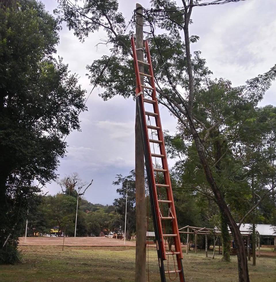 Energía eléctrica: ejecutan trabajos de cambio de postes y mantenimiento en Bernardo de Irigoyen imagen-2