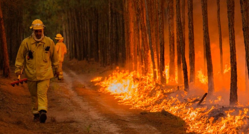 Rescatan un pequeño yacaré, teniendo “controlado” el incendio que arrasó más de 6 mil hectáreas en el Departamento de Ituzaingó imagen-4
