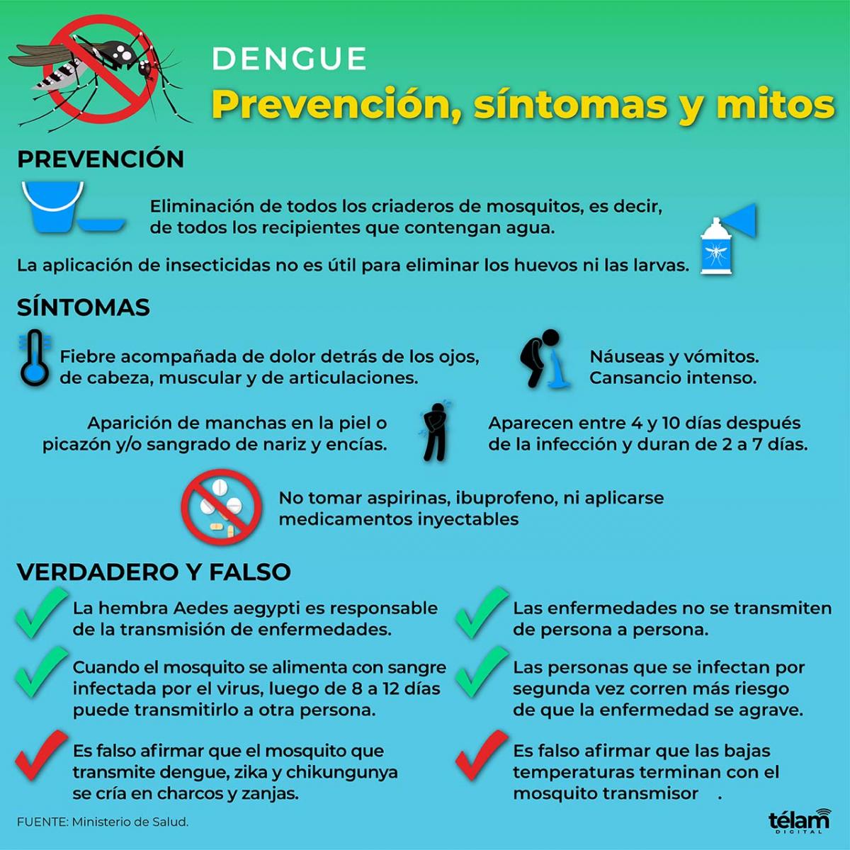 Eliminar los criaderos de mosquitos y no automedicarse, entre las claves contra el dengue imagen-2